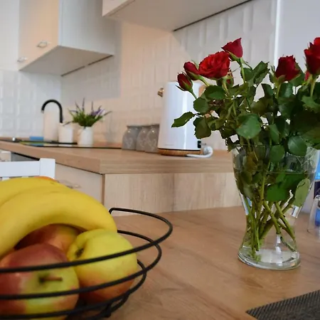 Apartament Anders Z Miejscem W Garazu I Rowerami Kołobrzeg